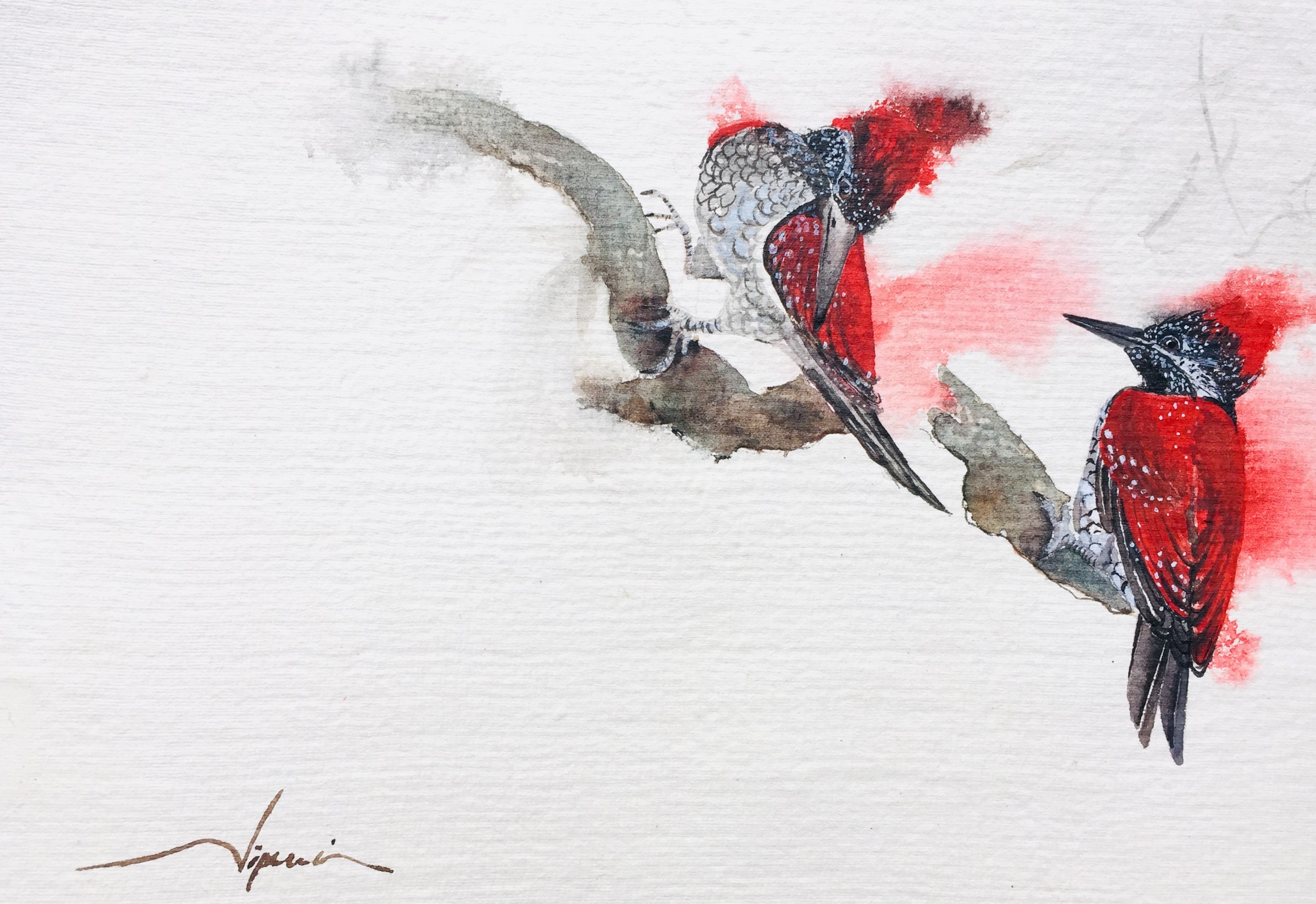 PLUMES ROUGES by NIPUNI MALLIKA ARACHCHI