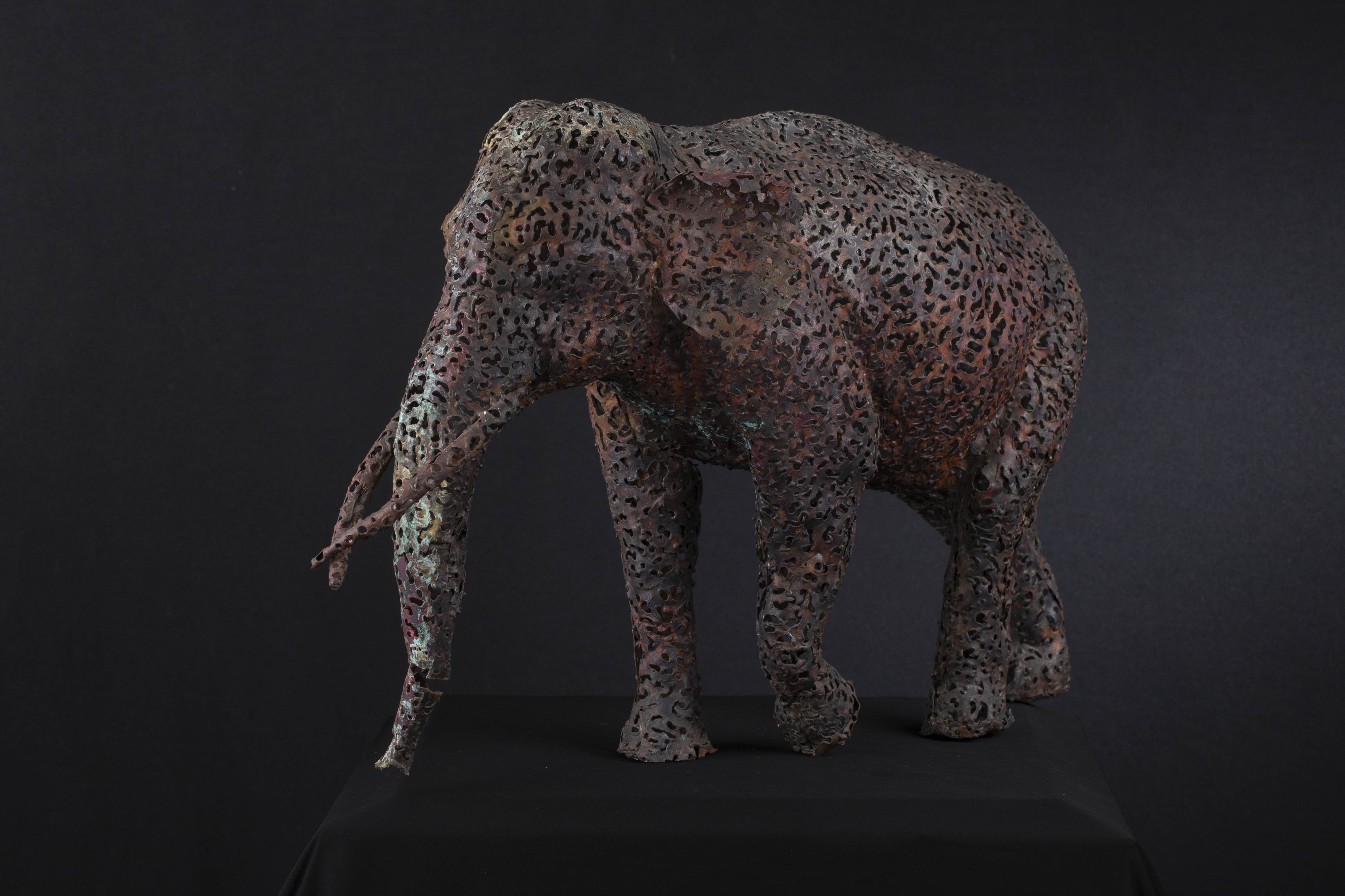 Elephant by lasantha epasinghage