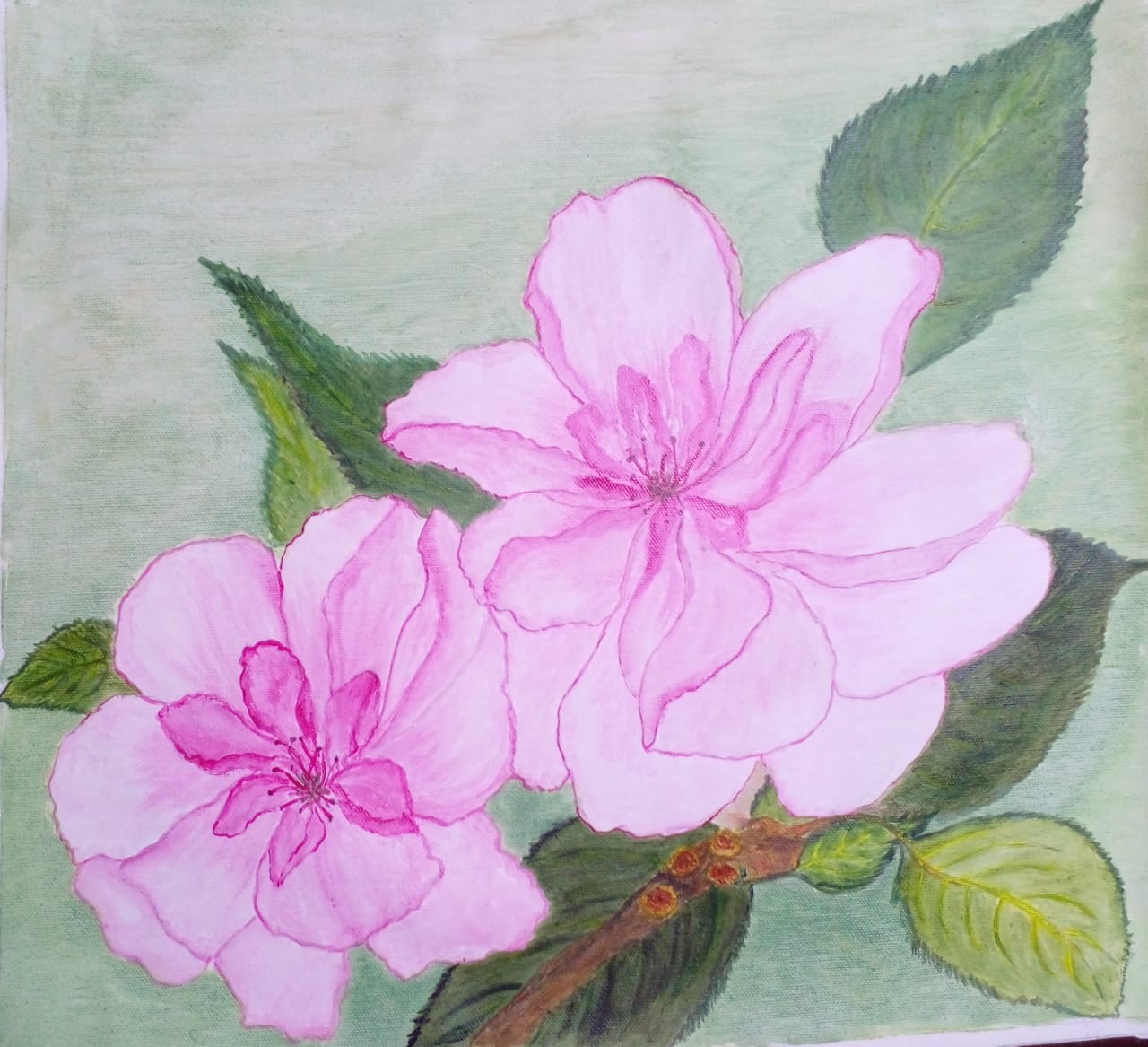 Pair of Pink Blossoms by Kalyani Weerasinghe