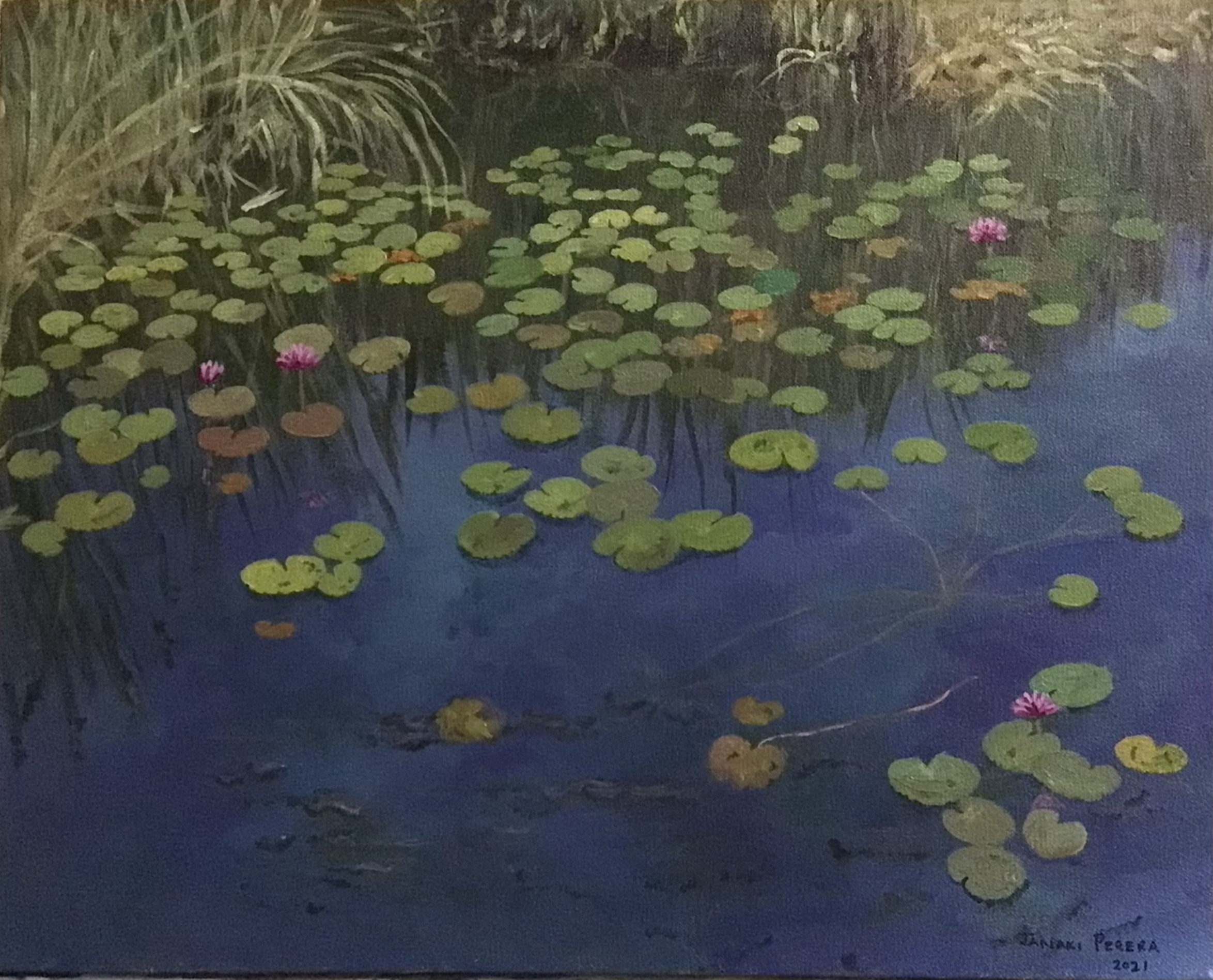 Lotus pond by Janaki Perera