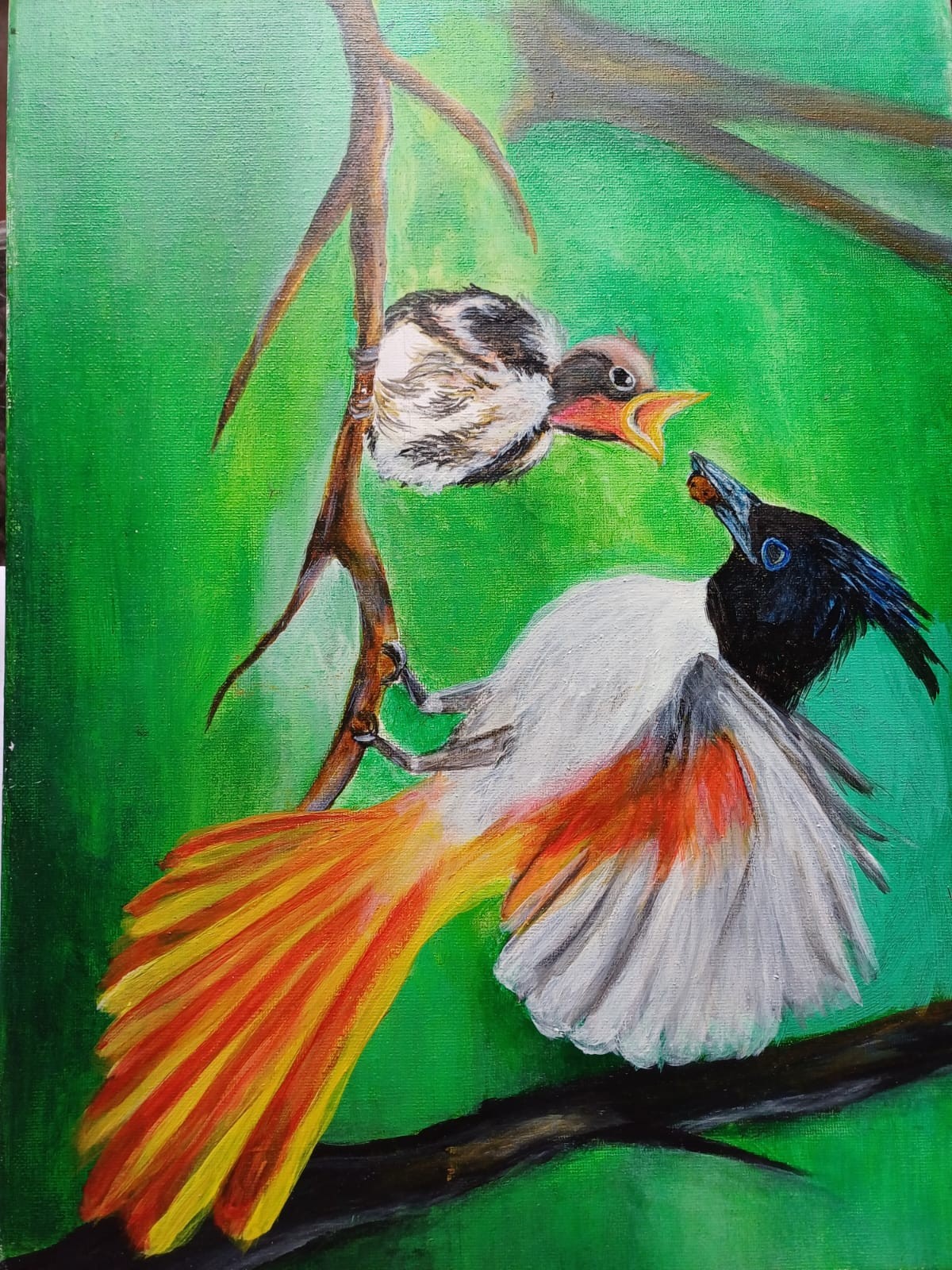 Feeding bird by Sahana Thiyagaraja