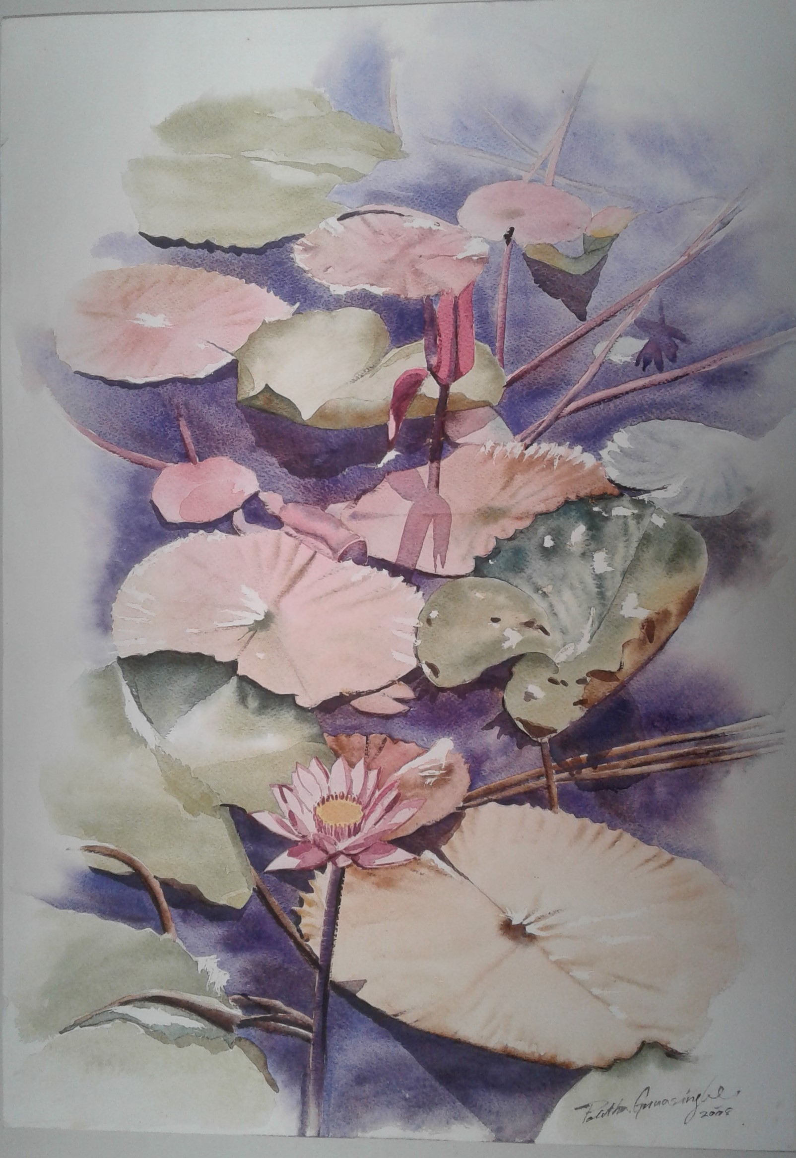 Lotus Pond by Palitha Gunasinghe