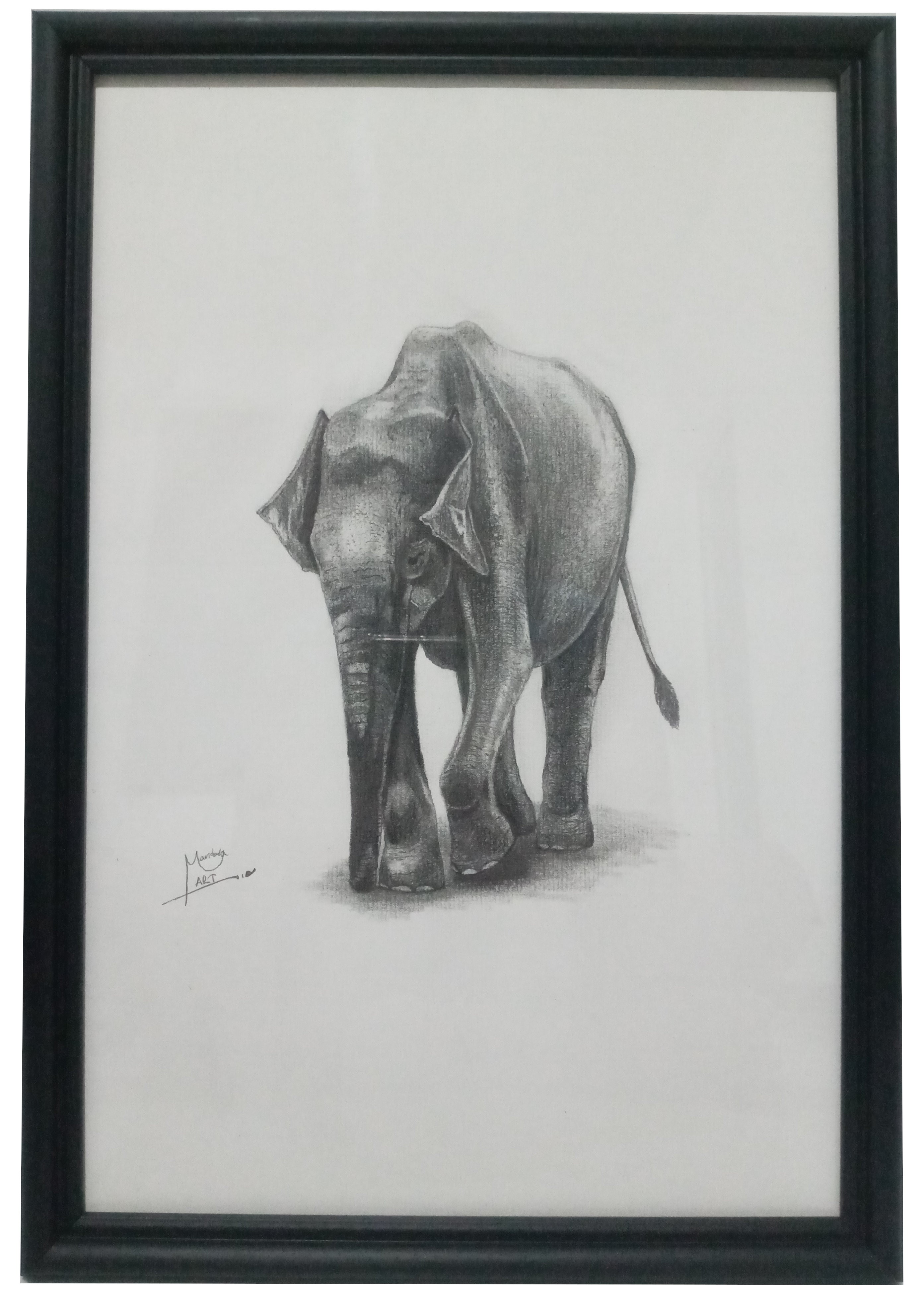 Single Elephant by Sadeera Mandara