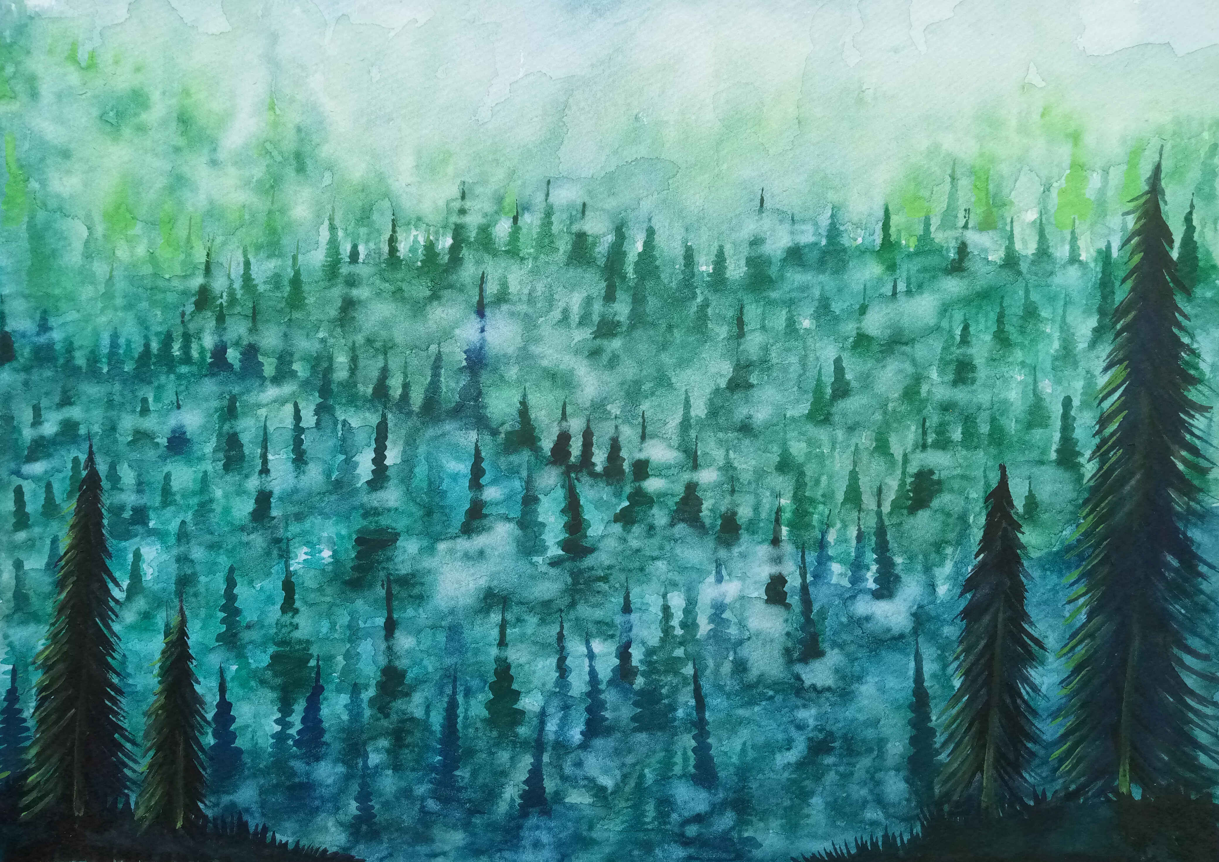 The Misty Forest by Amaya Ranatunge