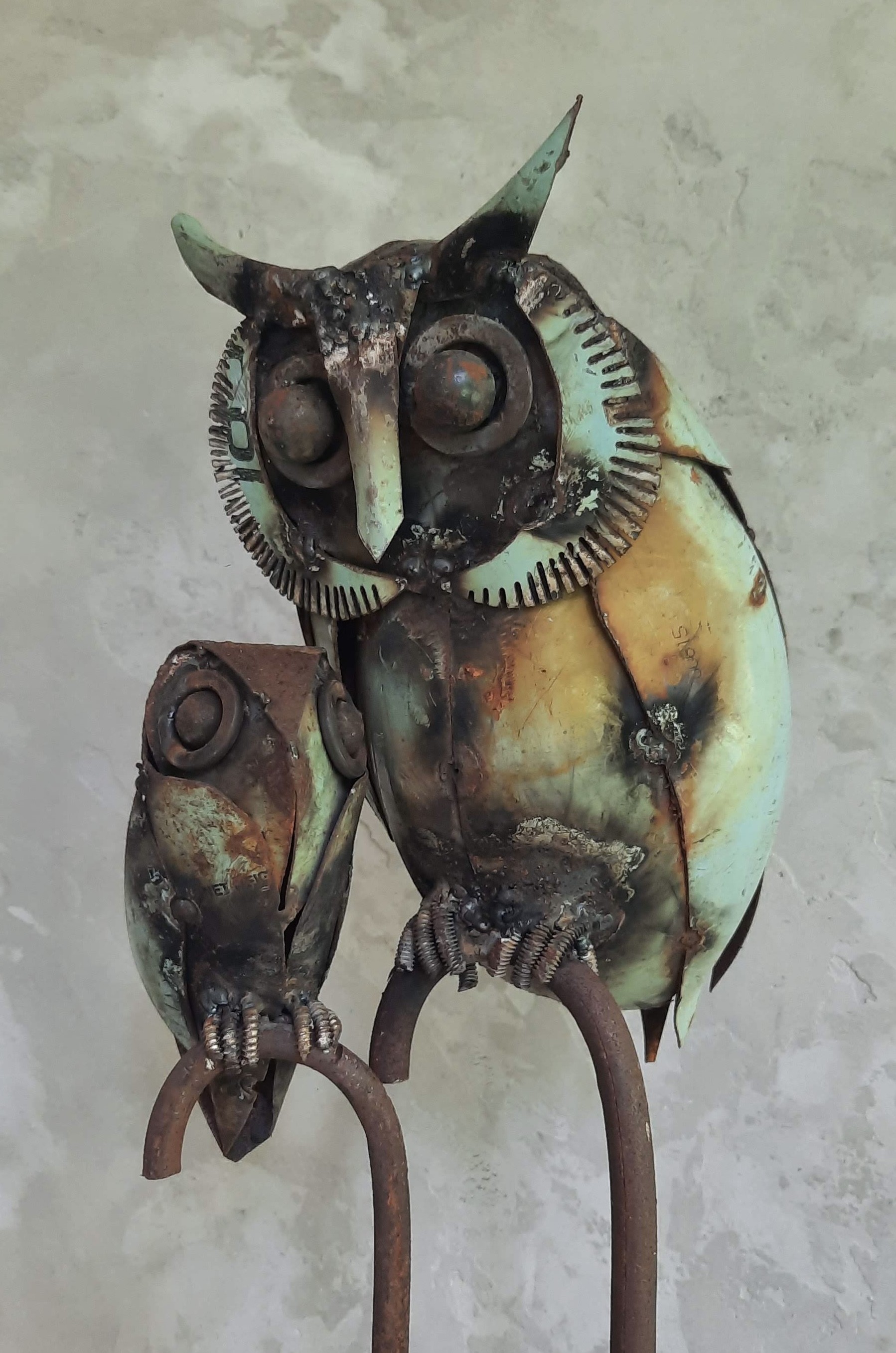Owl & Owlet by Dep Thushara