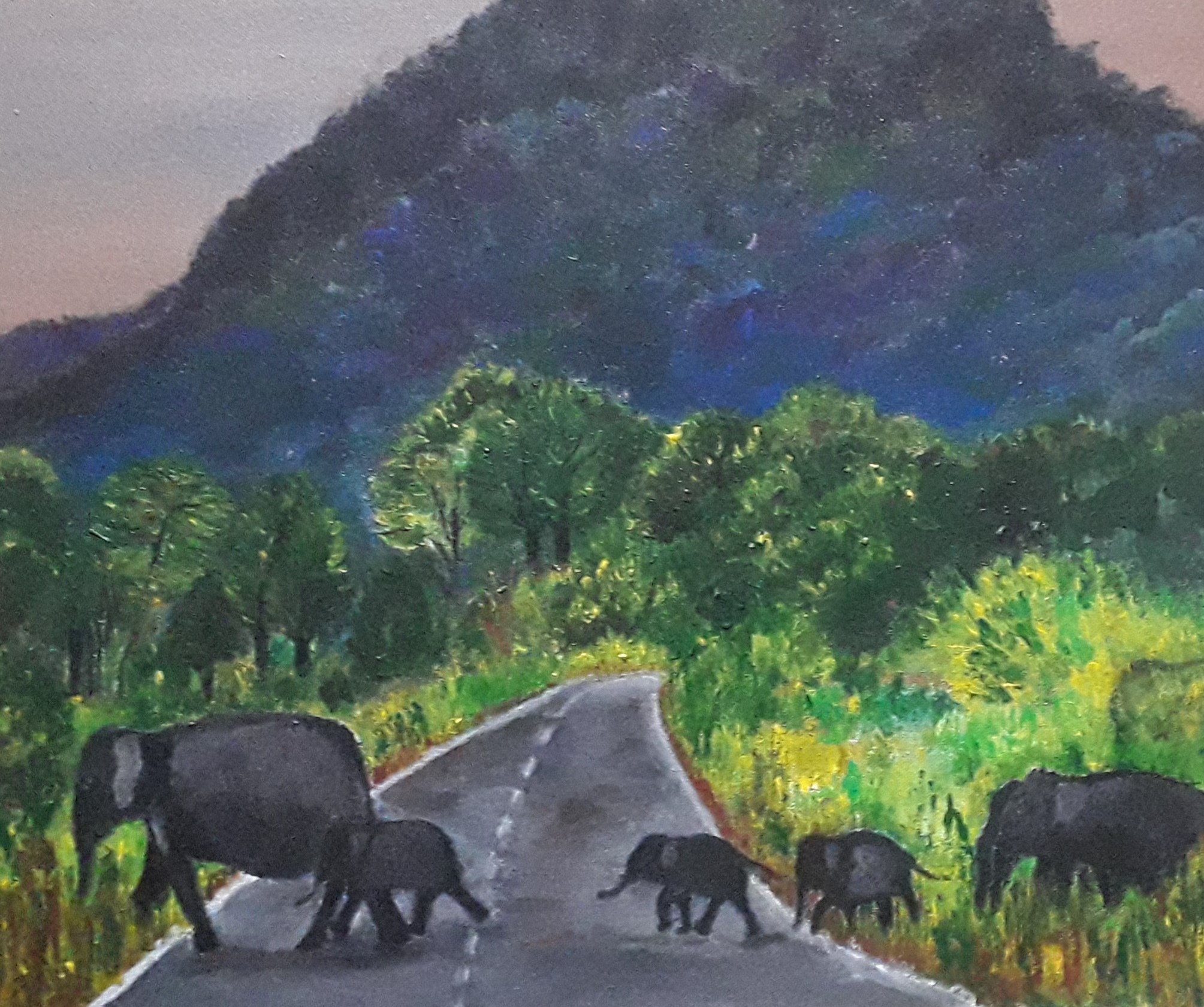 Sri Lankan Elephants by Simpson David