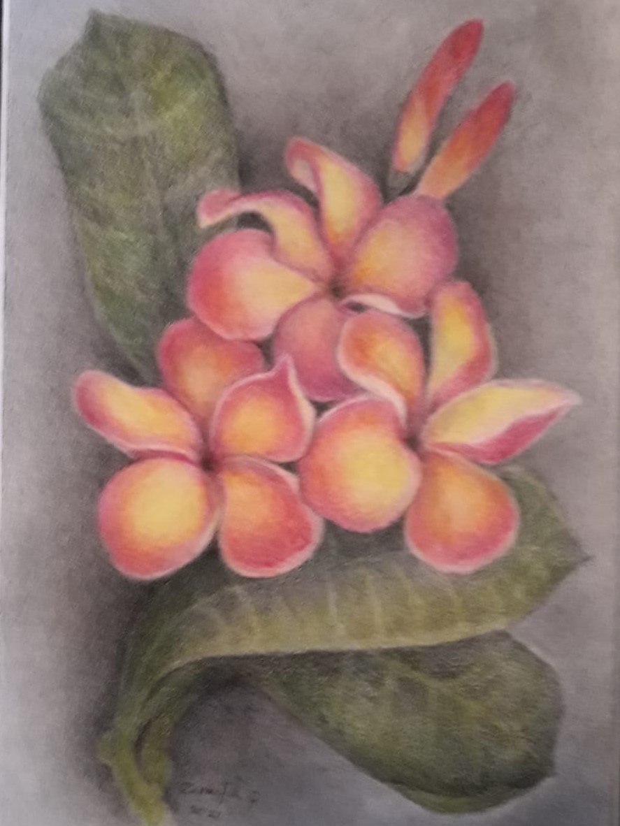 RED FRANGIPANI by Zinufa Razik