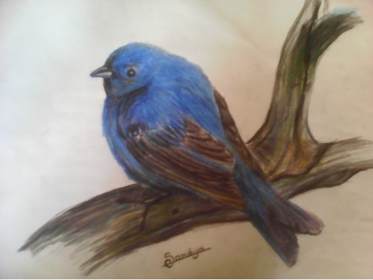 a bird by U.M Sandya Dilrukshi