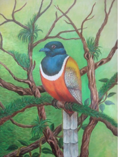 Bird by Nandasena Dalugama