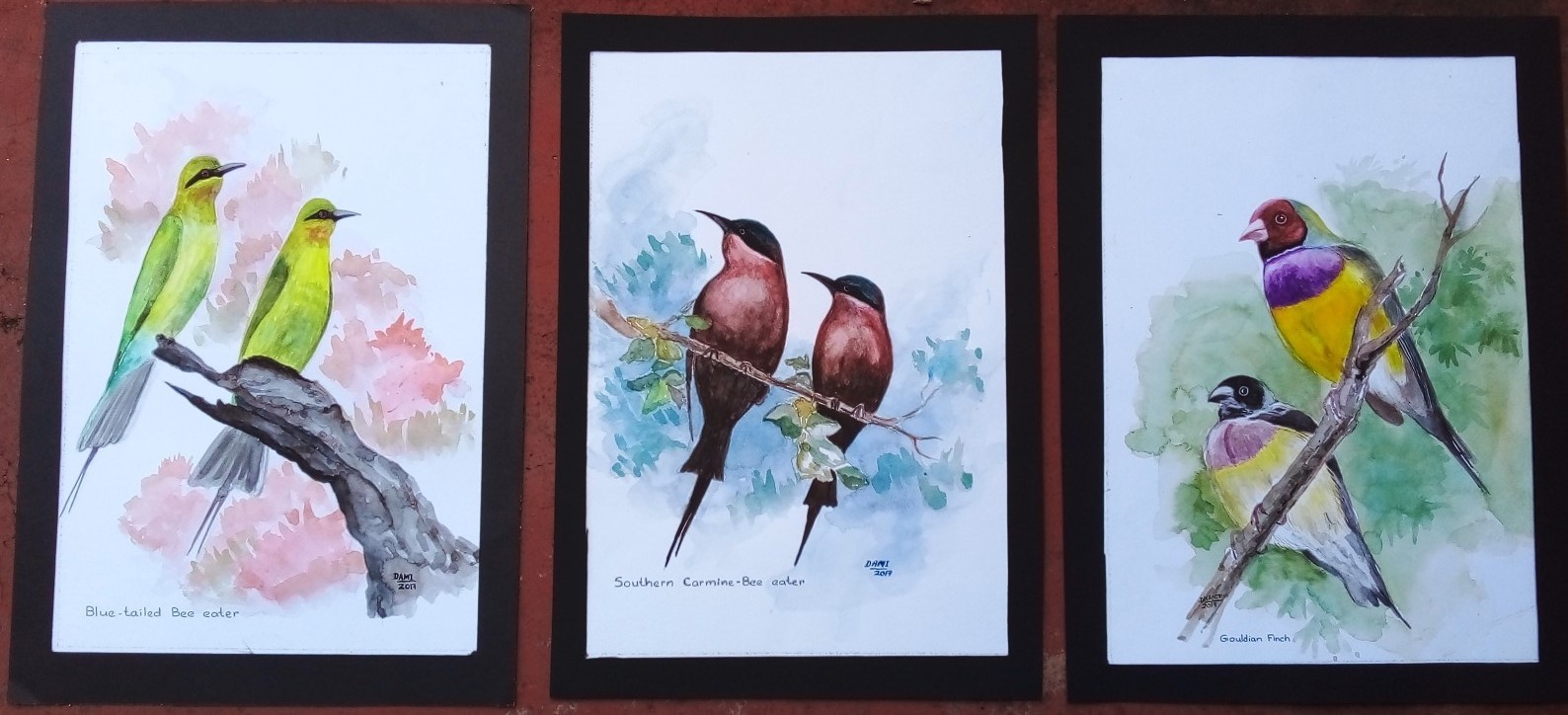 Birds  - 6 by Dhamitha Rasangee