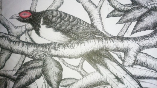 Birds of Srilanka. by Gamini Meegalla