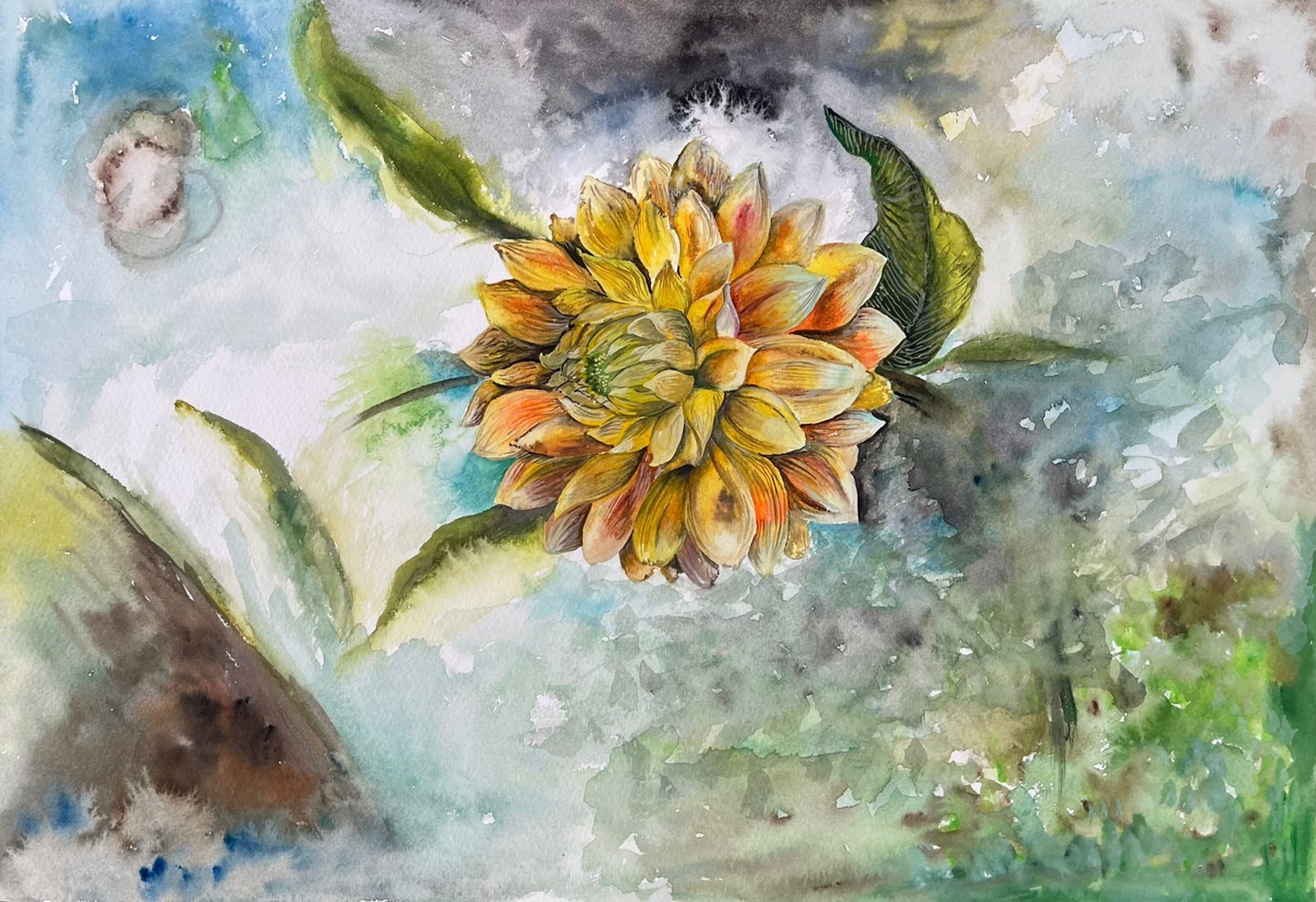 Blooming by Anusha Seermaran