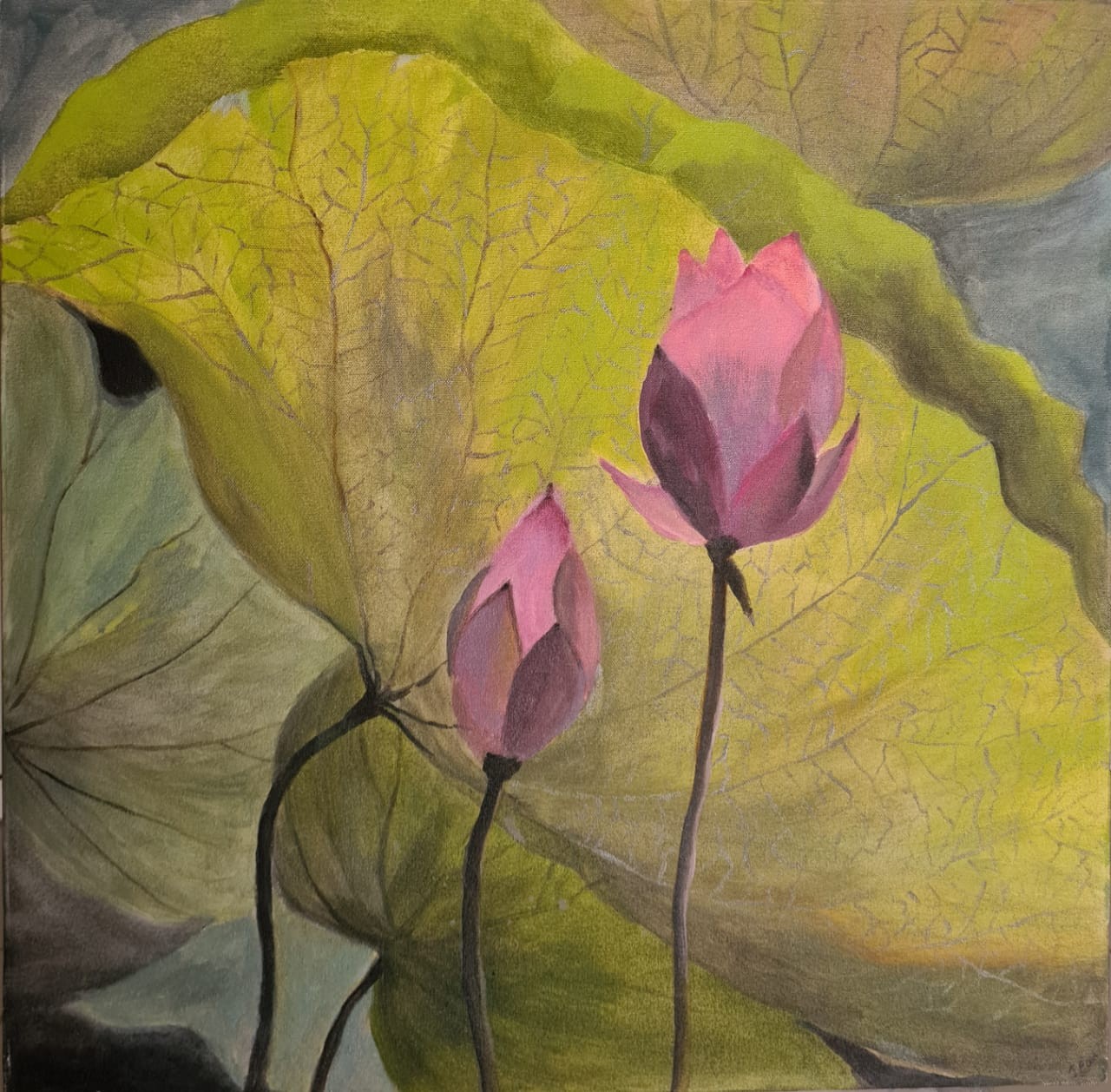Blooming lotus by Jean wijesekera