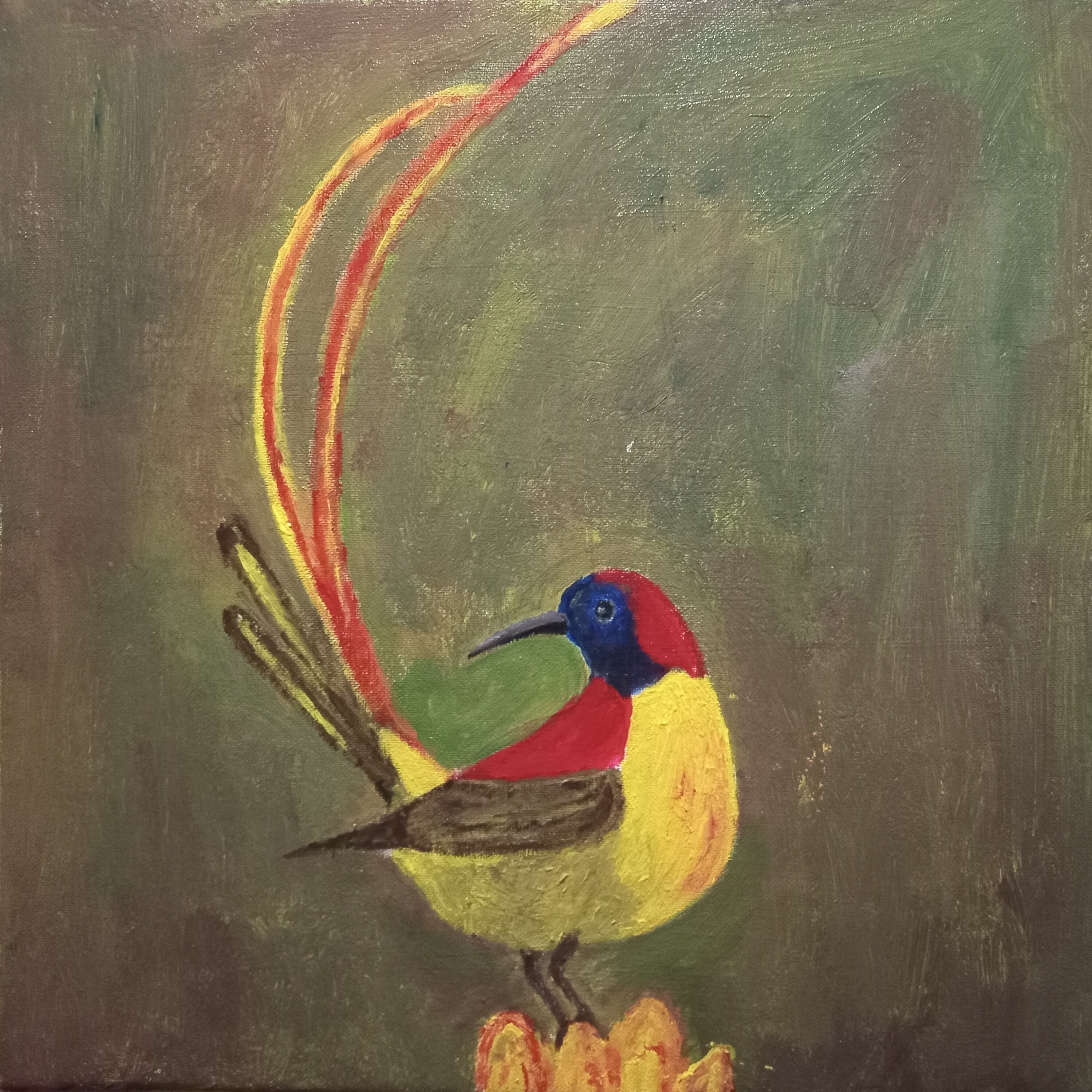 Colorful Bird by Simpson David