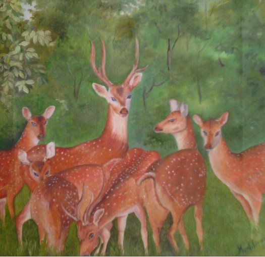 deer by Fathima Haseena