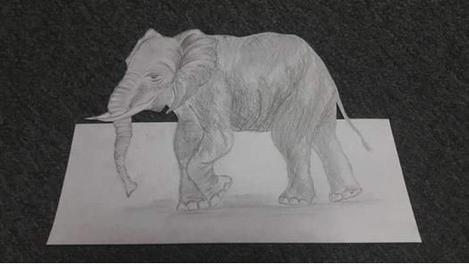 Elephant by Nadeesha Narangoda