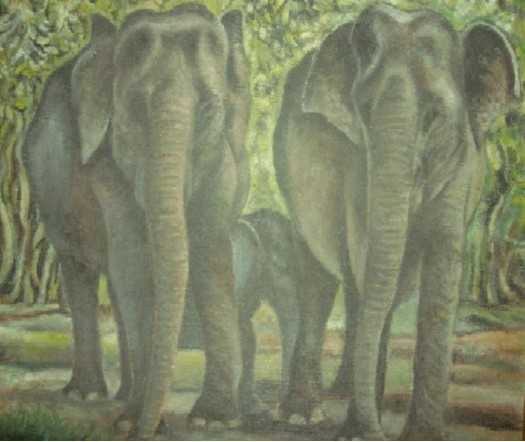 Elephants by Nandasena Dalugama