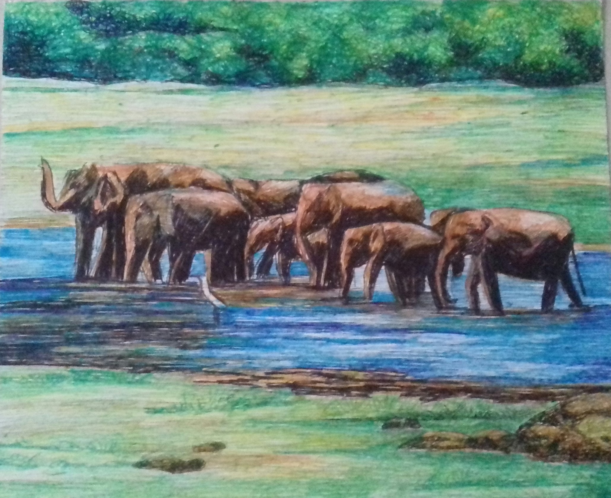 Elephants by Champa Priyadharshani