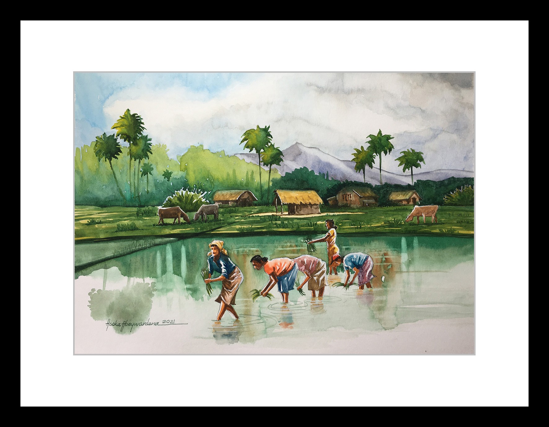 Farmers in a paddy Field by ASOKA ABEYWARDENA