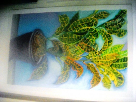 Flowers - Croton Tree Canvas by Niroshan Madampitige