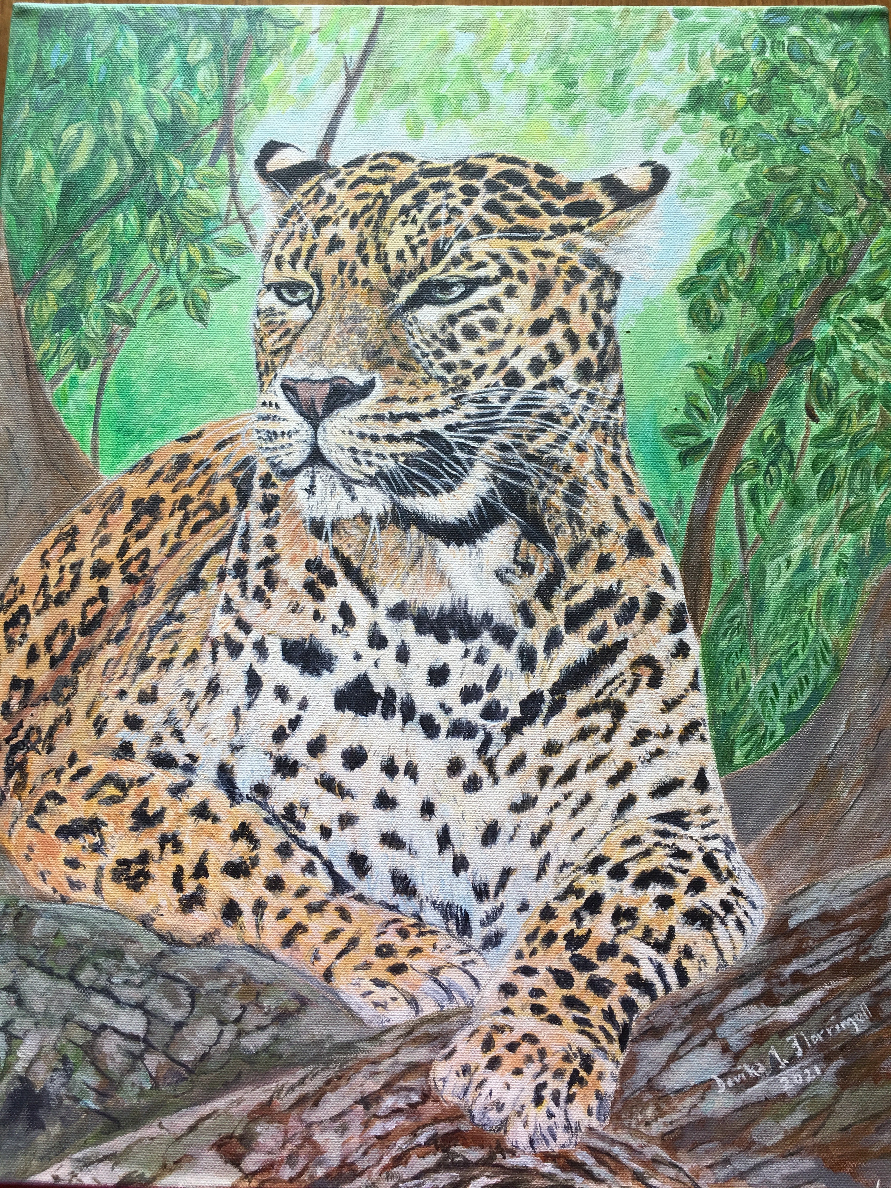 From my perch atop the tree by Devika Ilayperuma-Florrimell