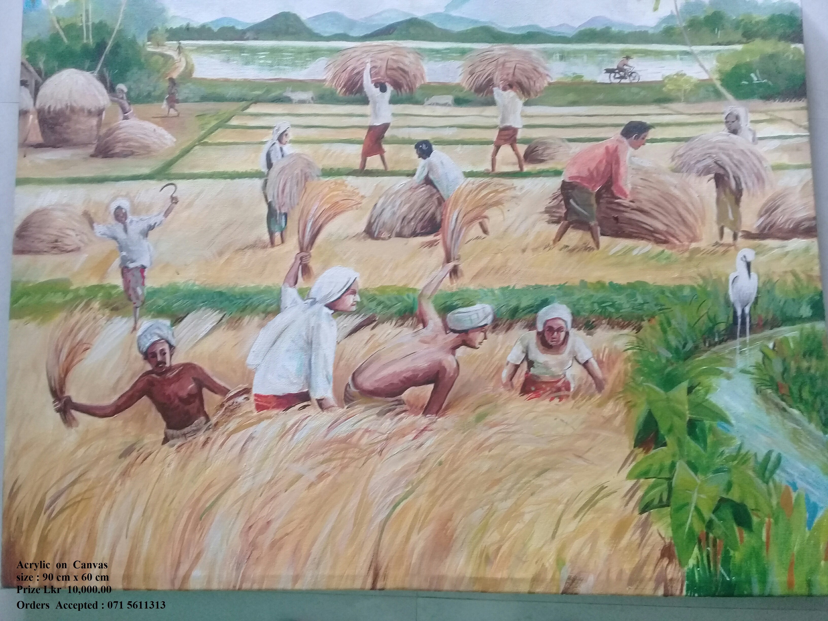 Harvesting by Wickramasinghe Arachchige Jayarathna