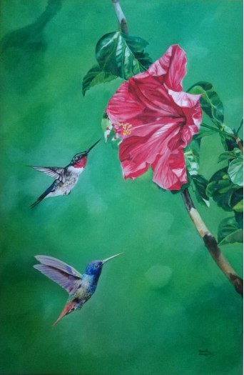 Humming birds by Hemantha Warakapitiya