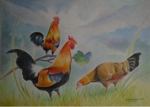 JUNGLE FOWL by Vasanth Warapitiya