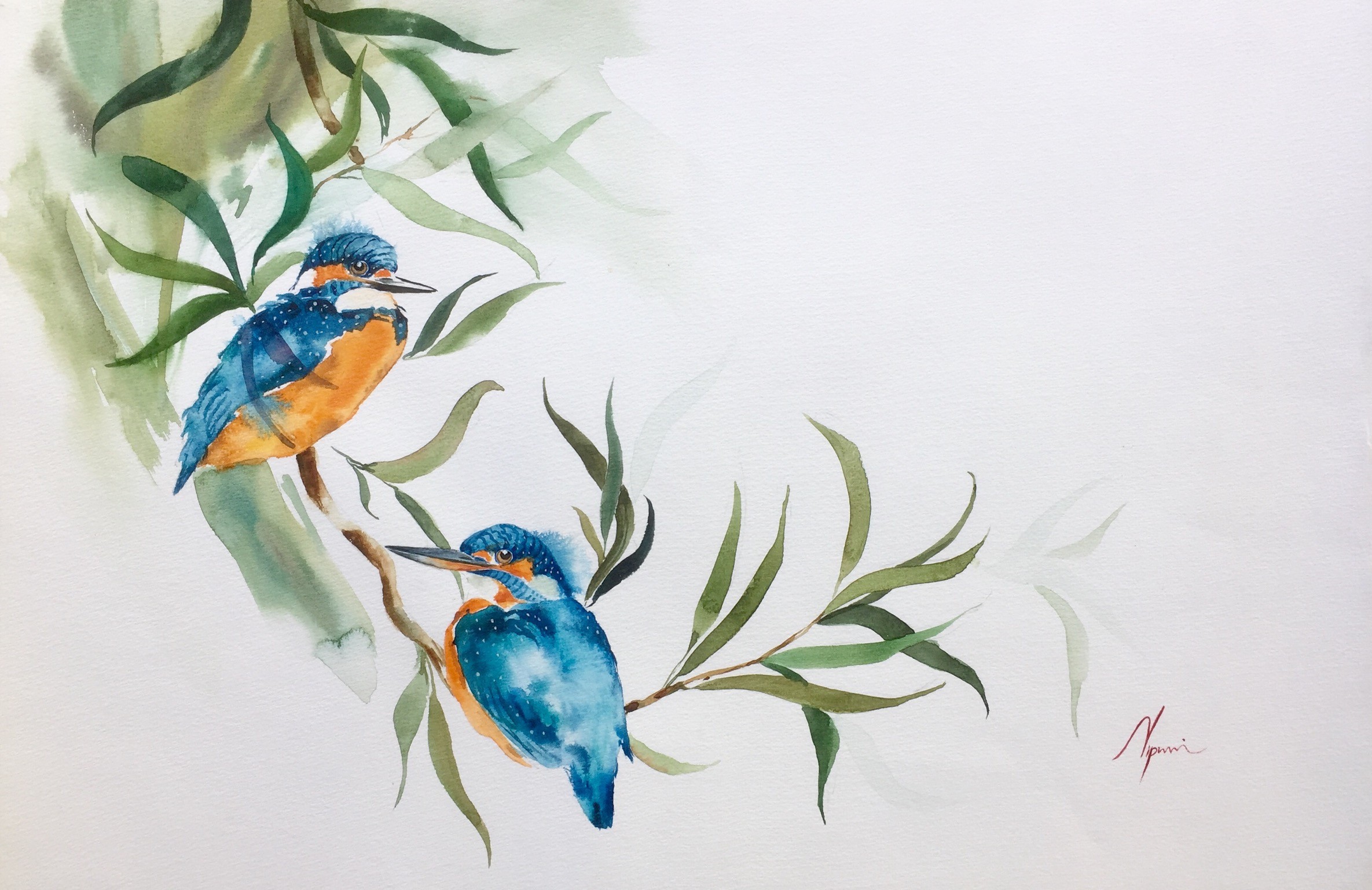Kingfishers  (2) by NIPUNI MALLIKA ARACHCHI