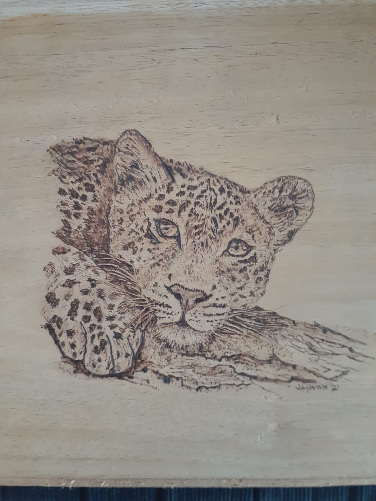 Leopard at rest by Shyama Gunawardhana