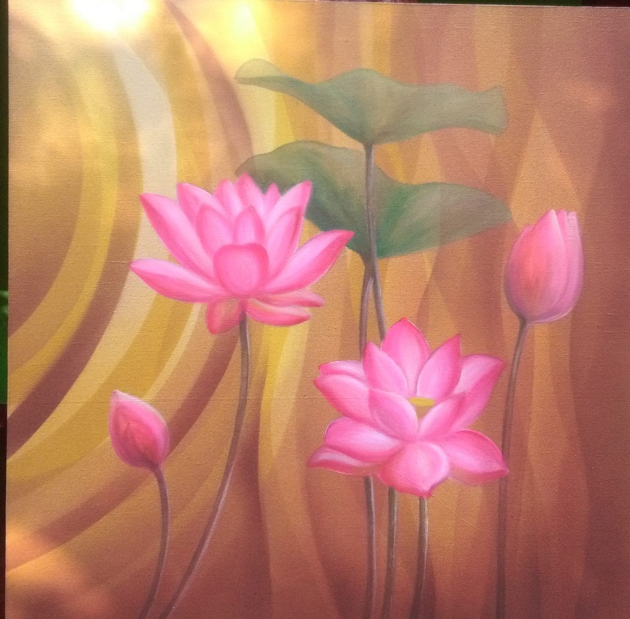 Lotus flower by Sampath Karunarathne