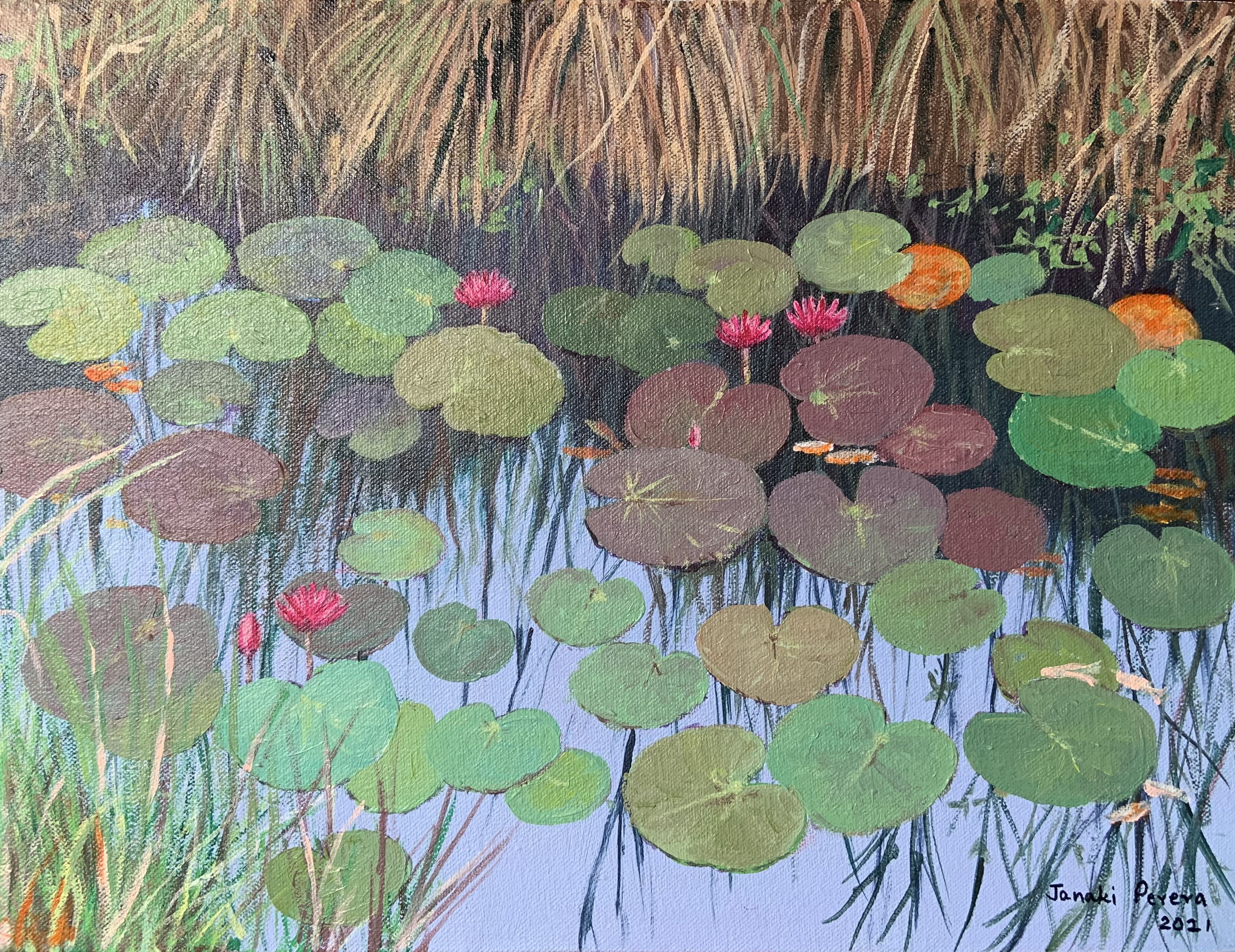 Lotus Pond by Janaki Perera