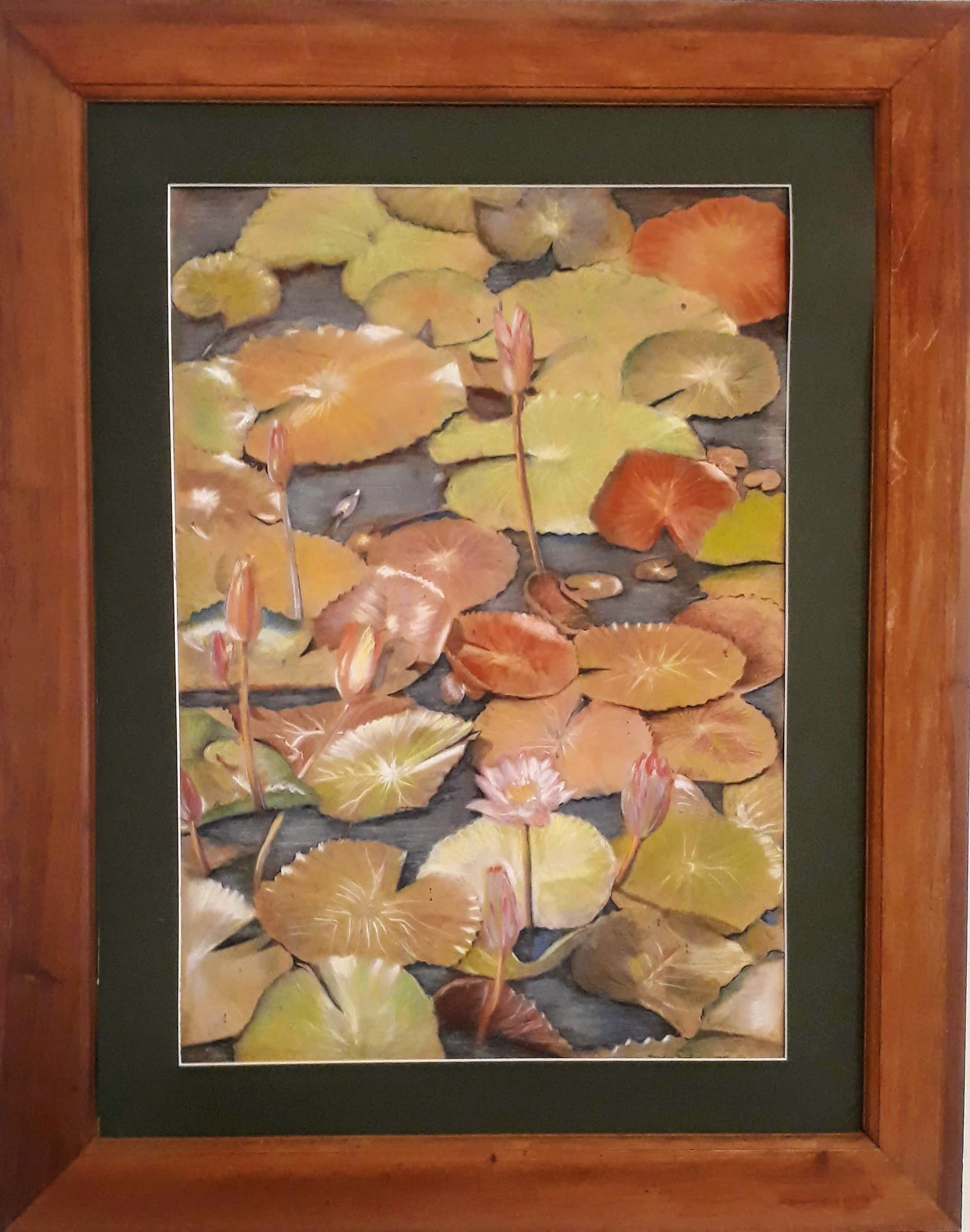 Lotus Pond by Brindley Jayatunga