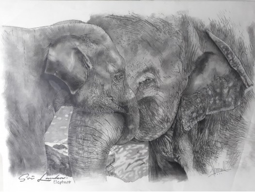 Pencil Art by Zayan Jananatha