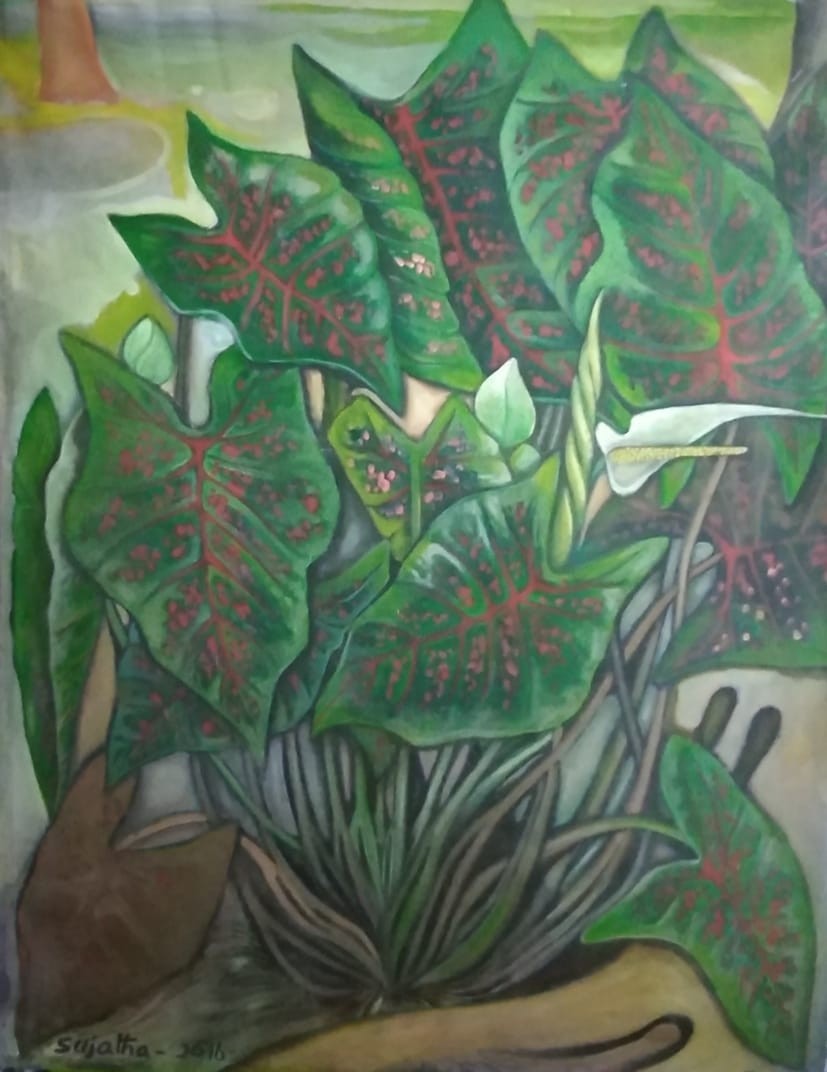 Plants by Sujatha Illangasinghe