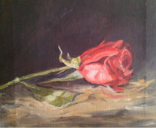 red rose by Fathima Haseena