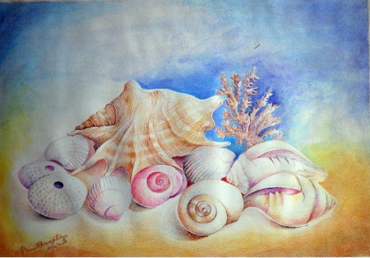 SHELLS by Vasanth Warapitiya