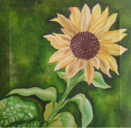 sun flower by Fathima Haseena