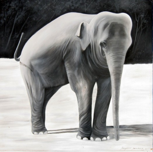 The Baby Elephant by Sanjeewa Nissanka