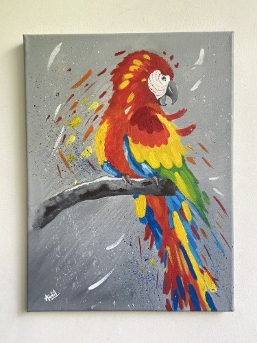 The Scarlet Macaw by Aadil Sameen