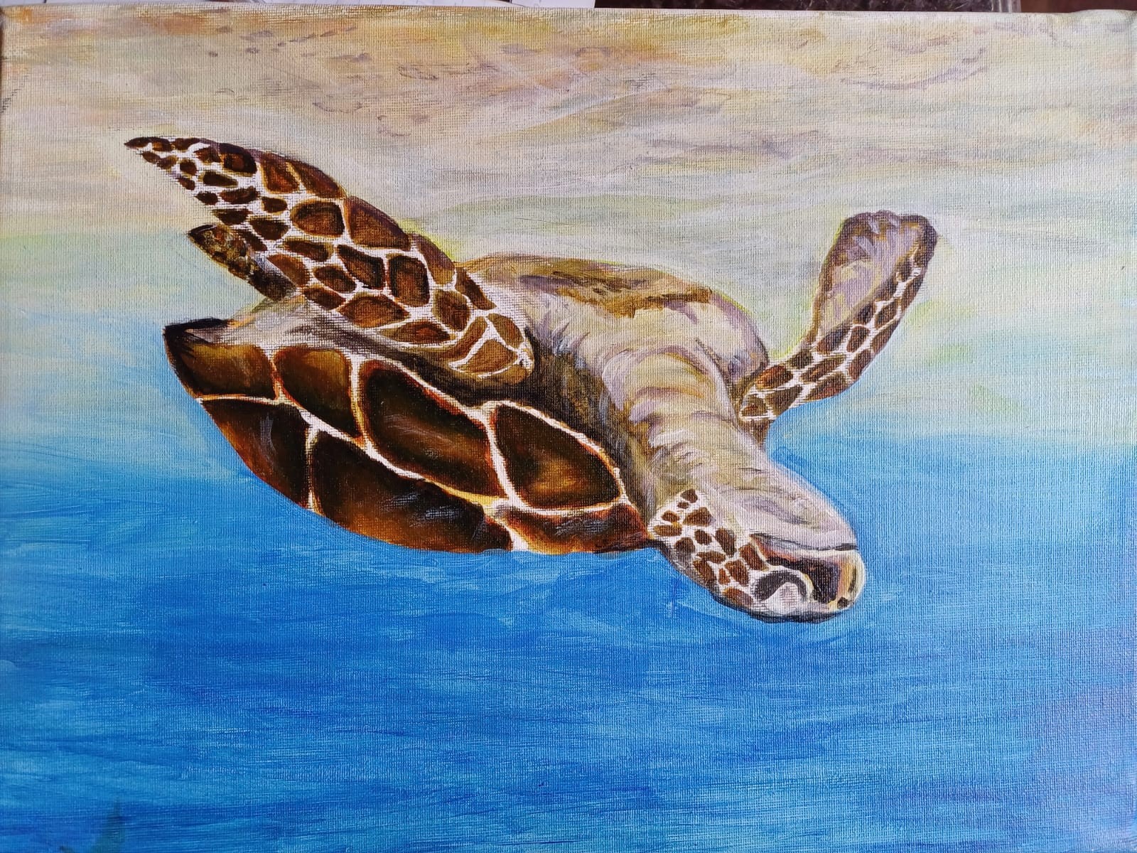 Turtle by Sahana Thiyagaraja