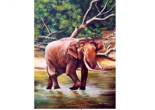 Tusker by Piyal Ranjan Alwis Weerasinghe