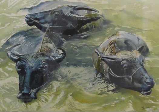 Water Buffaloes by Nilusha Weerakkody