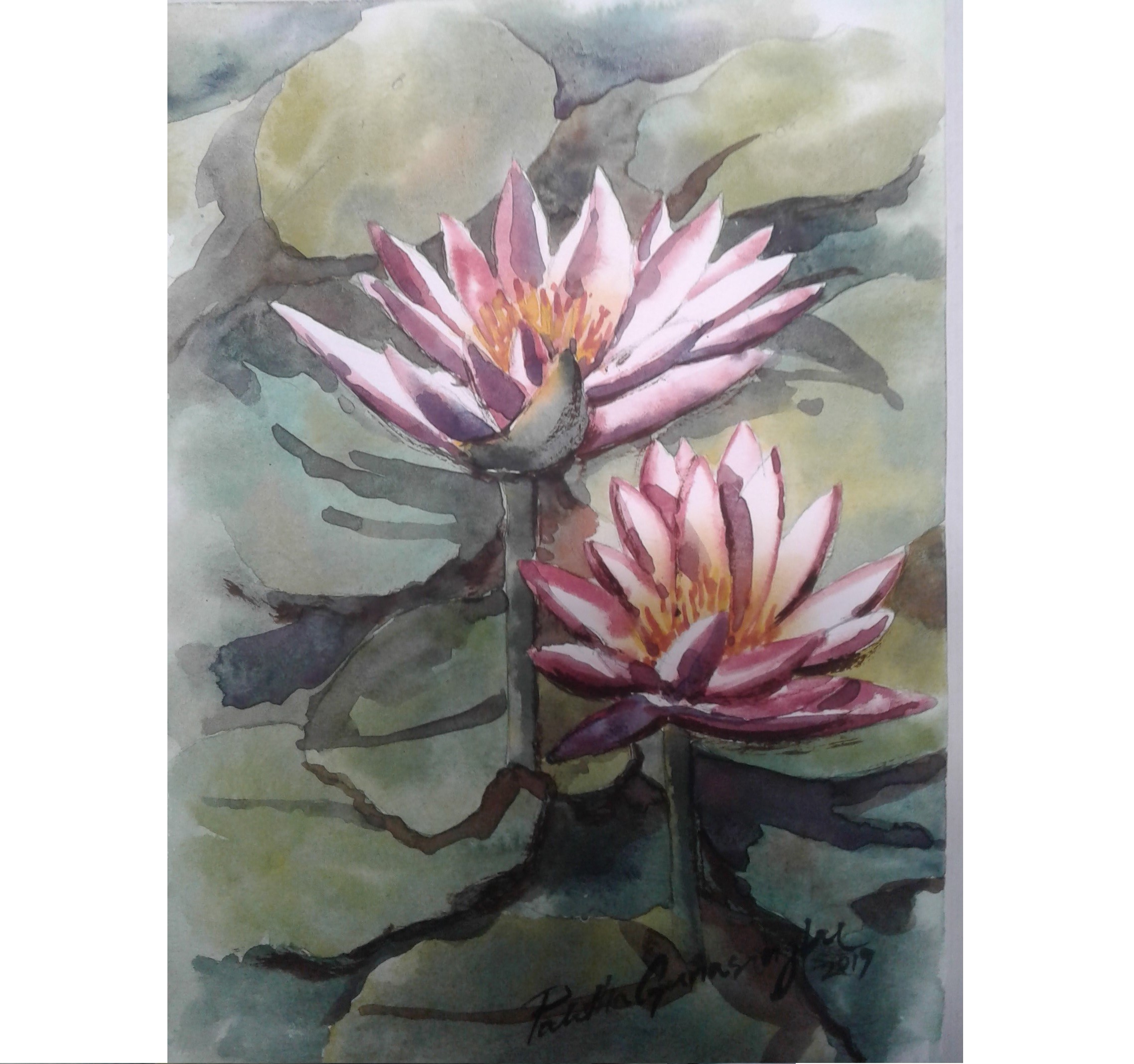 Waterlilly by Palitha Gunasinghe