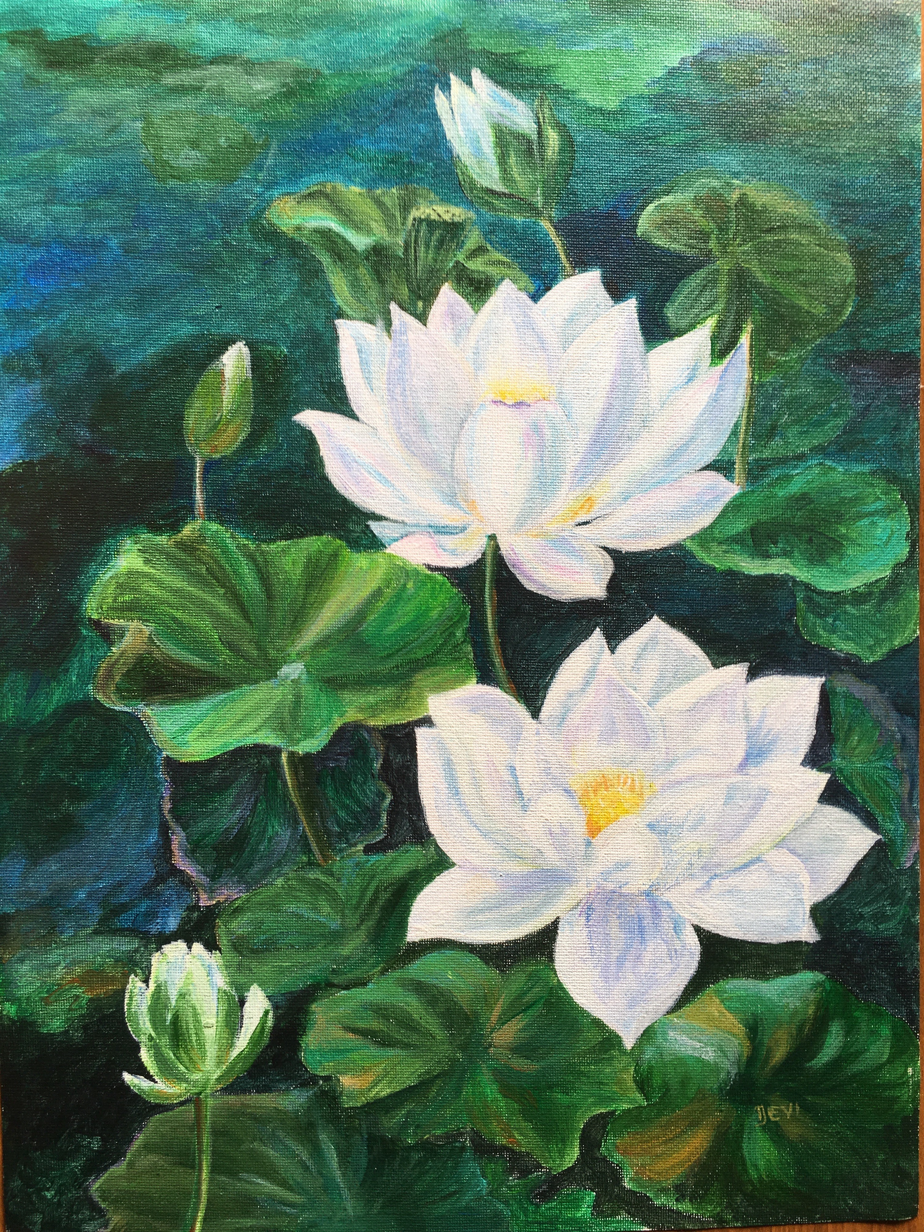 White Lotuses by Devika Ilayperuma-Florrimell