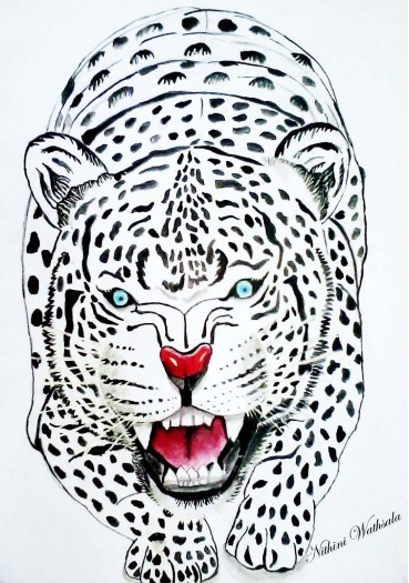 Wild Cat Tiger by Nithini Wathsala