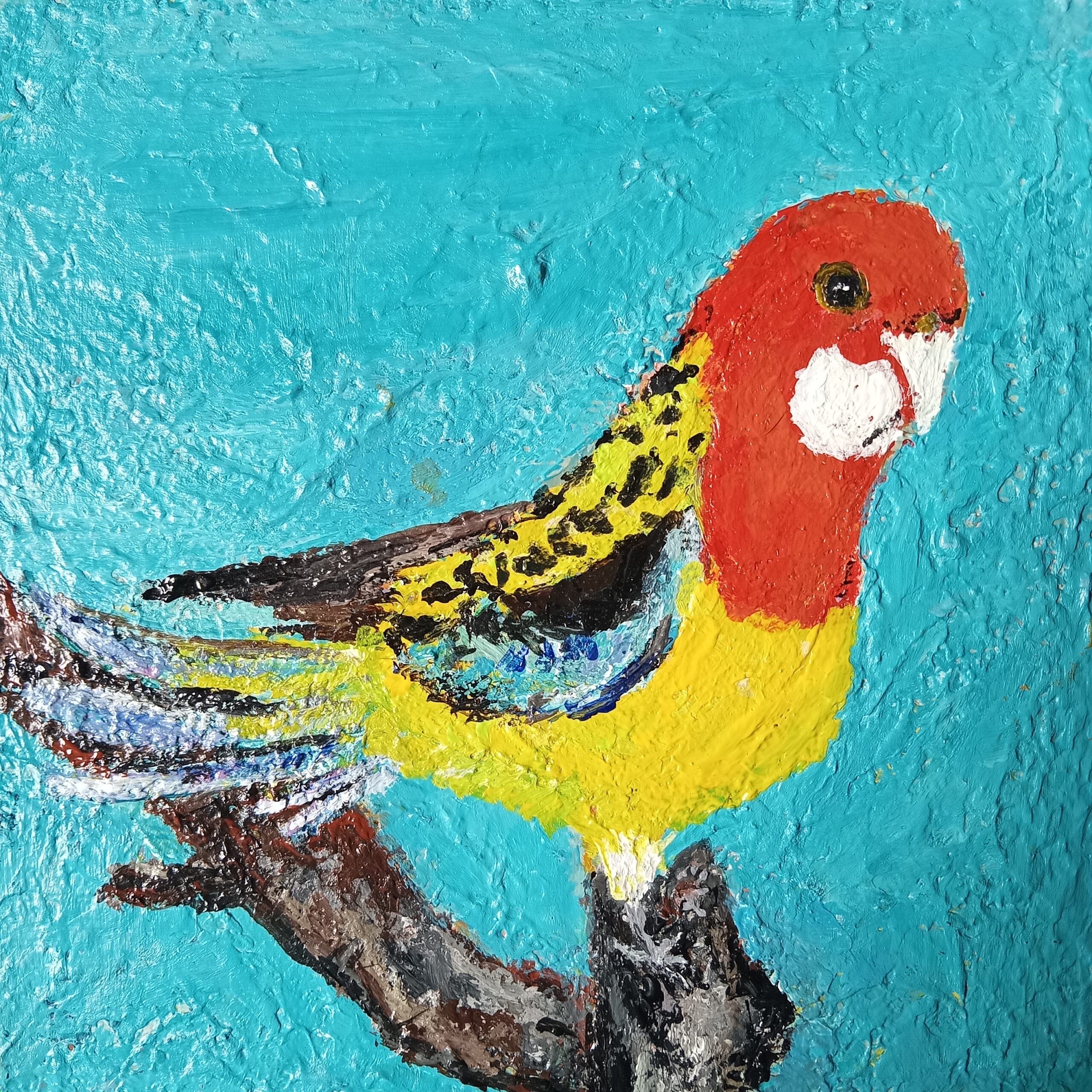 Colorful Parrot – Eastern Rosella