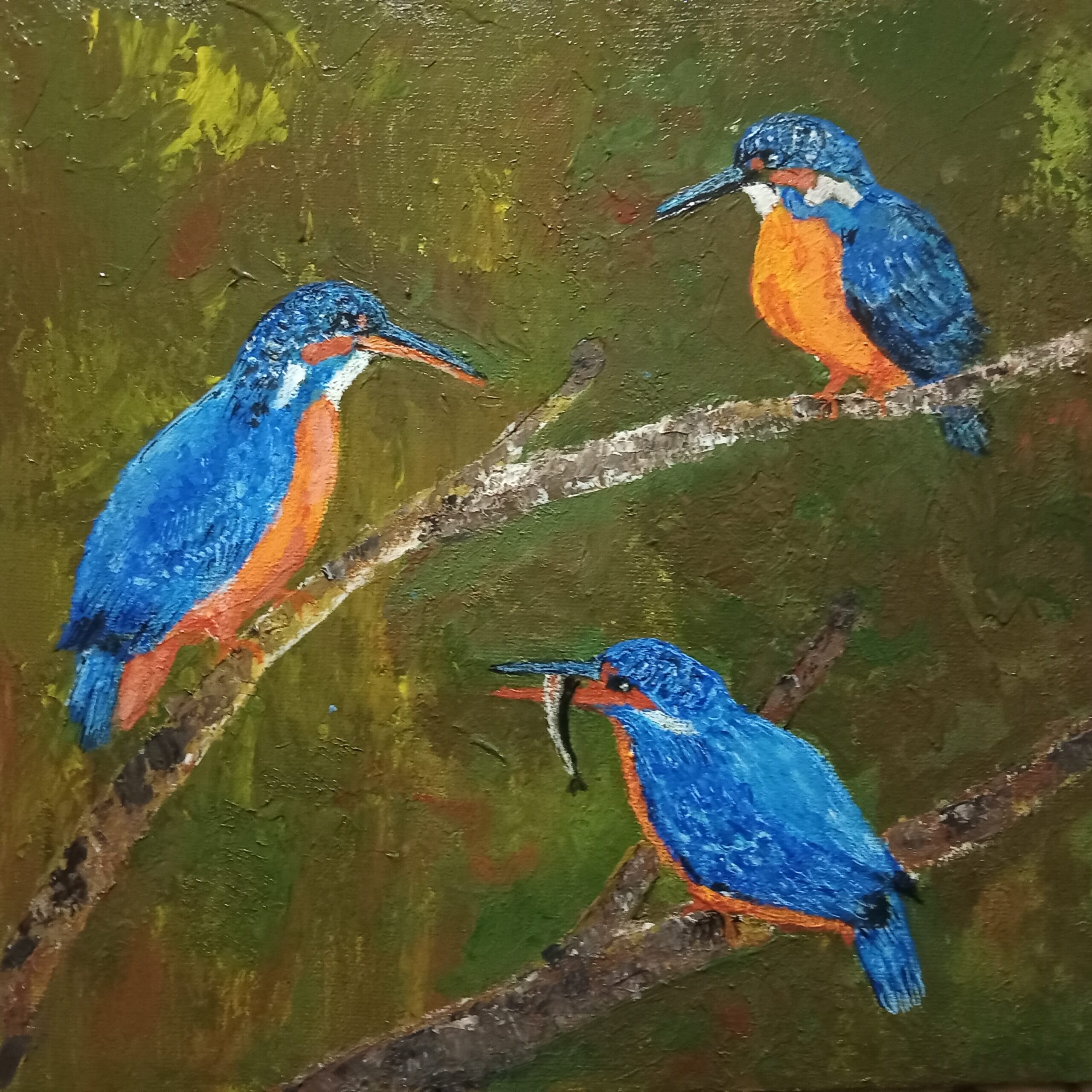 Sri Lankan King Fisher.