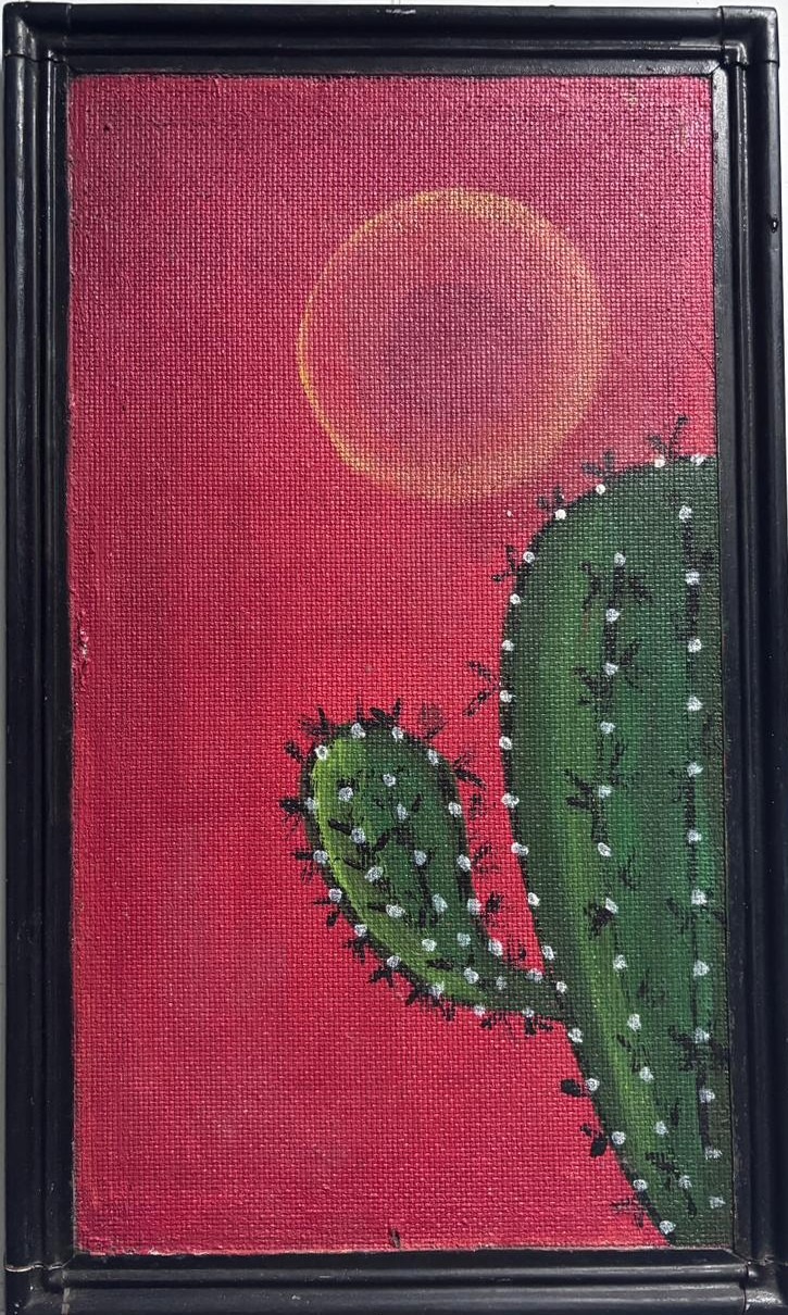 Cactus in the Desert