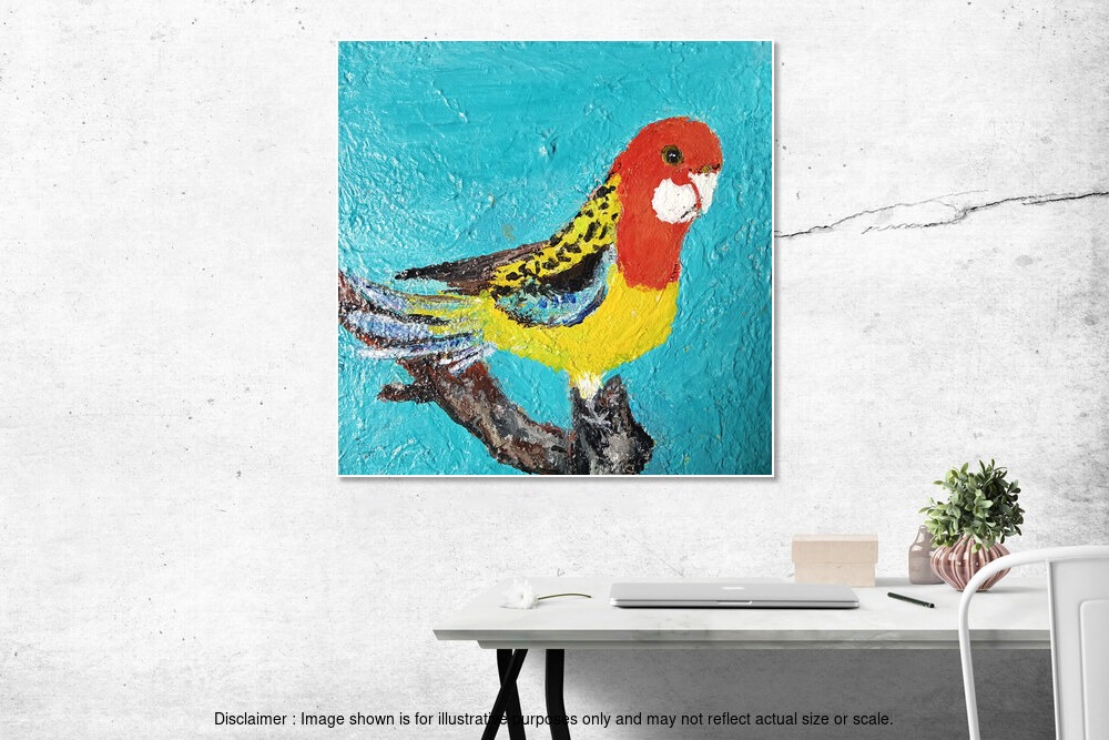 Colorful Parrot – Eastern Rosella